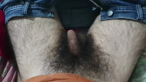 Im Bom - Tip if You Liked my Hairy Body - Private Show is Open - Read more about me in the bio below online show from May 30, 9:30 am
