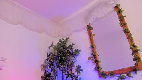   online show from September 20, 12:35 am