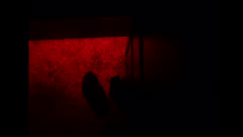 bonny8723 online show from November 3, 10:22 pm