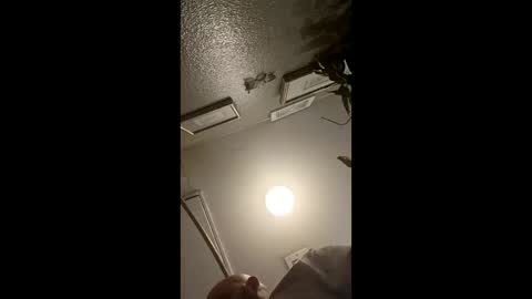 boredaf6678 online show from March 21, 4:29 am