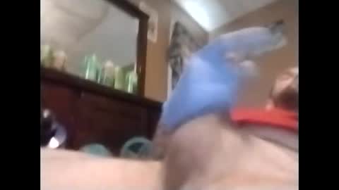 boyer6135 online show from December 21, 3:29 pm