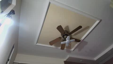 bradkith27 online show from November 26, 2:20 am