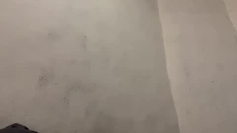 breanexe online show from October 29, 11:01 am