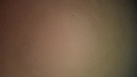 buena_paja2 online show from March 24, 12:05 am