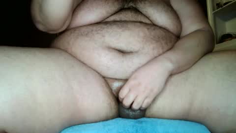 bunbbear online show from January 15, 3:29 pm