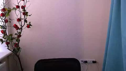 Ariel online show from November 6, 8:06 am