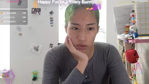 Tokki  bunny  online show from January 9, 8:11 pm