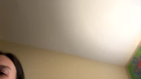 buschbaby online show from November 8, 2:31 pm