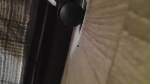 busterpoindexter9999 online show from March 14, 10:14 pm