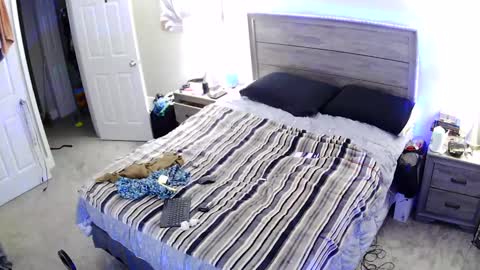 Snapshot of busybee83 chatting on September 30, 8:41 pm busybee83 online show from September 30, 8:41 pm