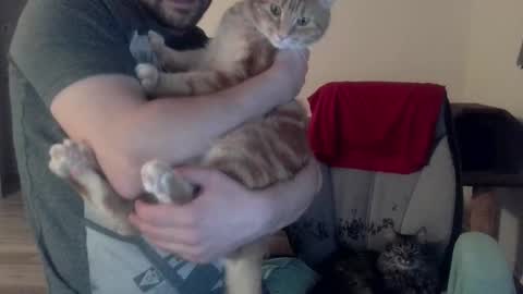  Astaroth  Angel  online show from February 26, 2:26 am