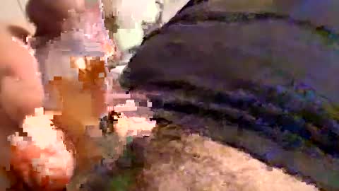 Cactus1041 online show from December 30, 5:58 am