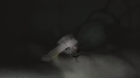 caguy2810 online show from December 16, 3:14 am