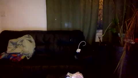 Wilderthanmost online show from October 26, 5:08 am