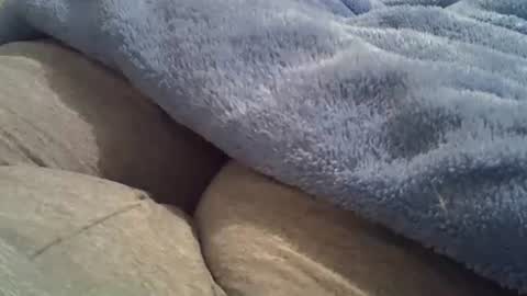 flash 50 tokens BIG CLIT  tits pussy. masturbation big clit 150 tokens fingers inside pussy 1000 tk  pump big clit 300 tk online show from November 1, 2:12 am