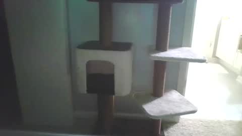 Snapshot of cammyman6900 chatting on September 13, 4:15 am cammyman6900 online show from September 13, 4:15 am