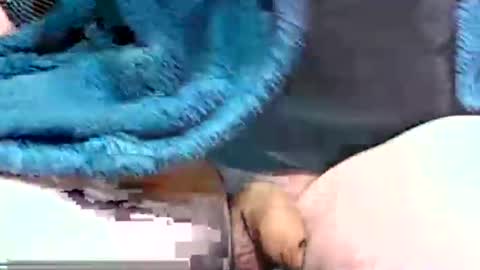 camone554cum online show from January 7, 4:12 pm