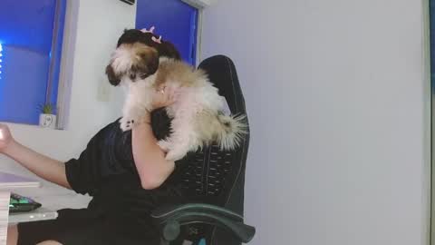 candy_giuliana21 online show from April 17, 12:02 am