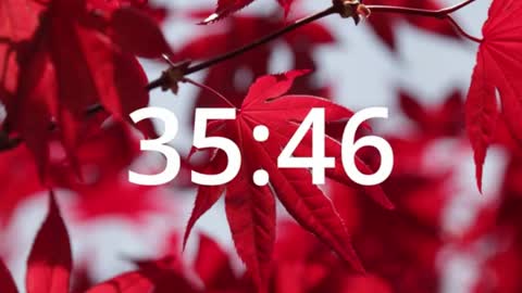 Carlos and Cristian  online show from April 24, 5:09 am