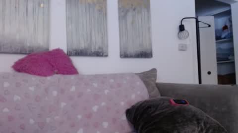 Carlie online show from February 26, 2:20 pm