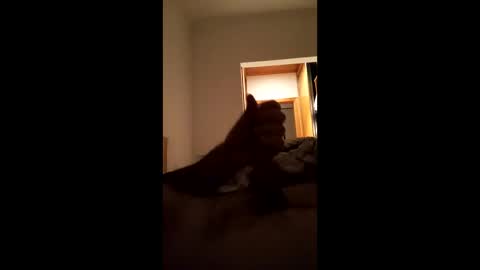 carlos1234500 online show from January 17, 7:07 am