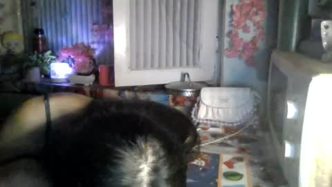 CarlyJoy online show from May 17, 4:38 pm