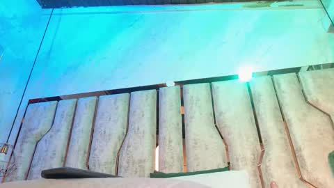 Carolina online show from December 15, 4:30 am