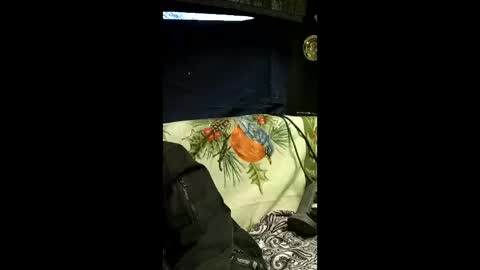 carrilloeverardo219 online show from March 28, 12:56 am