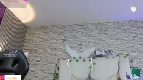 casse_tay online show from February 19, 3:05 am