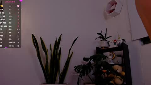 Snapshot of catalella_01 chatting on January 6, 11:52 pm MACARENA online show from January 6, 11:52 pm