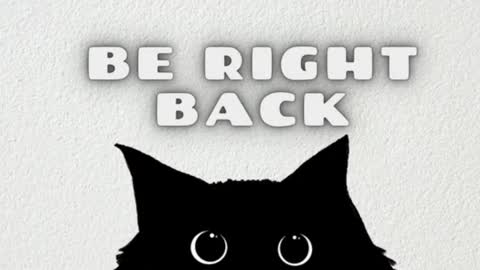 Cataleya online show from March 28, 9:00 am