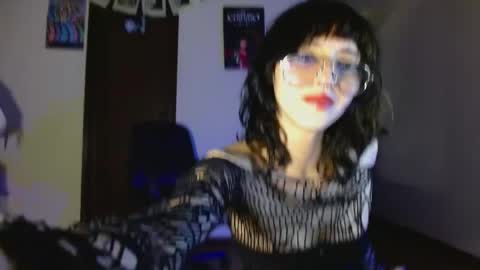 Cat online show from May 5, 1:34 am