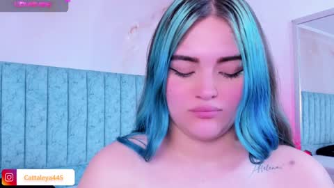  Catta online show from February 16, 5:37 pm