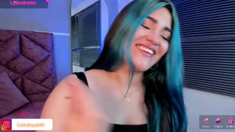  Catta online show from February 11, 4:22 am