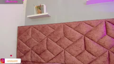  Catta online show from February 2, 7:30 am