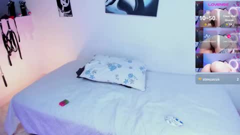 CattNamy online show from December 21, 10:32 am