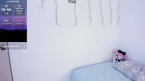 CattNamy online show from September 12, 1:35 pm