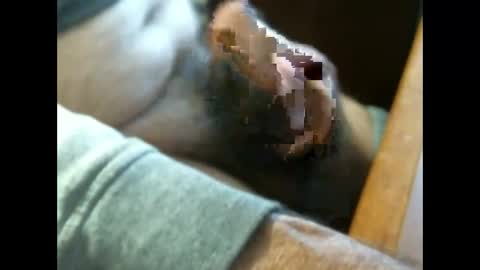 CCzt154 online show from April 22, 10:17 pm