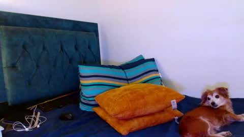 Cedrixx10 online show from September 28, 1:03 am