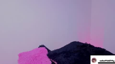 celestte_evans_1 online show from February 23, 3:20 am