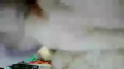 celine_27 online show from August 2, 10:39 am