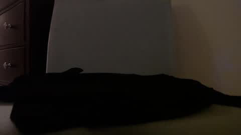 Snapshot of centerfield24 chatting on January 14, 7:17 am Centerfield online show from January 14, 7:17 am