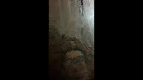 chacal6311 online show from February 9, 1:31 am