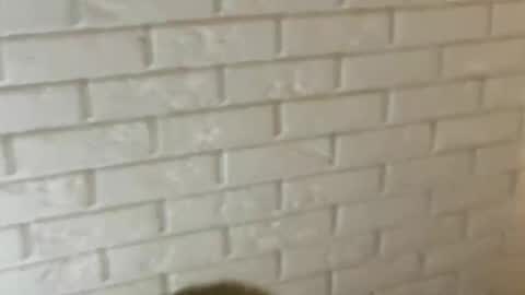 charlottebunnyuwu online show from February 12, 2:35 am