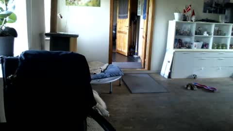 chefben666 online show from May 5, 5:36 am