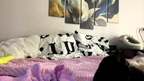 Becky online show from March 24, 2:34 pm