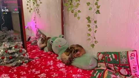 christy memeow online show from December 14, 8:04 pm