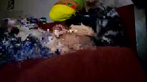 chronix14 online show from December 28, 9:31 am