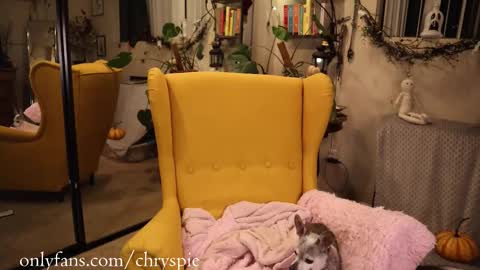 Chrys online show from November 3, 6:14 am