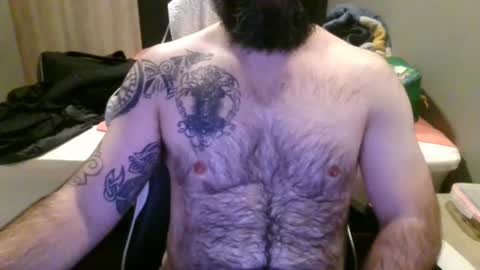 chub bear 99 online show from June 17, 10:31 am